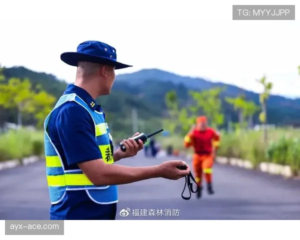 裁判职责详解：确保比赛公平与规则严格执行的关键标准